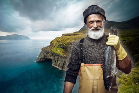 Why is Faroe Island salmon known as the best salmon in the world?
