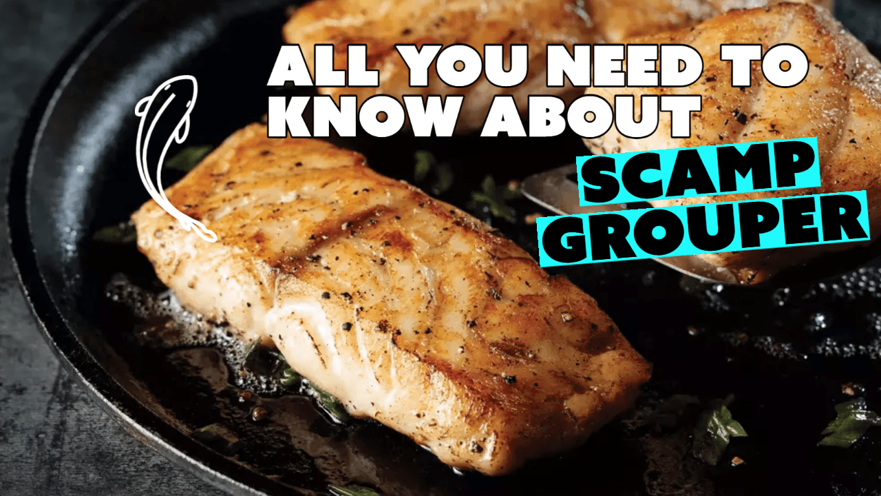 Scamp Grouper: A Delicious and Nutritious Seafood Option for Any Occasion - Fresh Catch Fish Co.