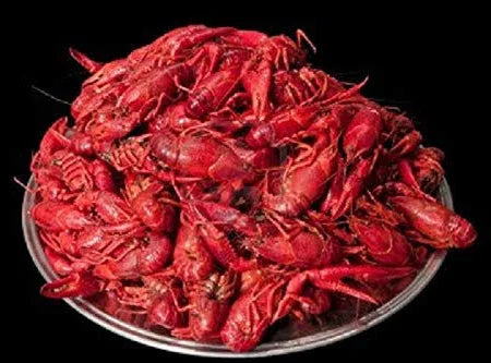 Crawfish