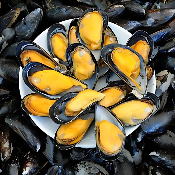 Mussels Frozen Fresh Catch Fish Co SWFL Fort Myers, FL