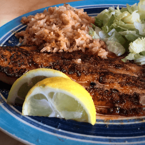 Red Snapper Value Fresh Catch Fish Co Southwest Florida Naples, FL