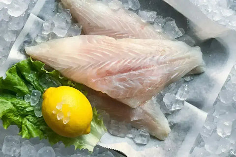 Unicorn fish Value 6 Pack