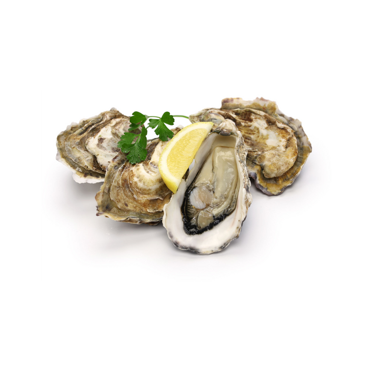 Fresh Catch Fish Company – Fresh Catch Fish Co.