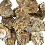Oysters - Fresh Catch Fish Co.