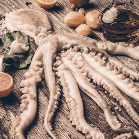 Frozen Whole Octopus - Fresh Catch Fish Co.