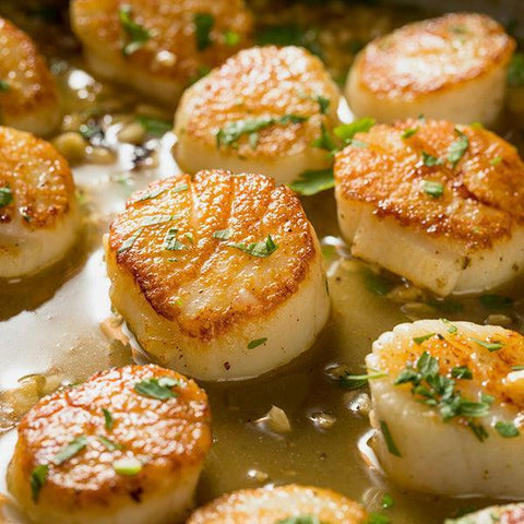 Sea Scallops - Fresh Catch Fish Co.