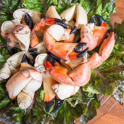 Stone Crab fort myers